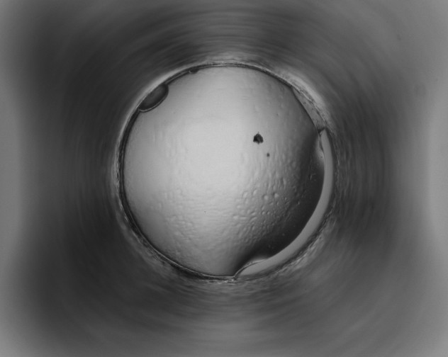 X0000096710948200802191505