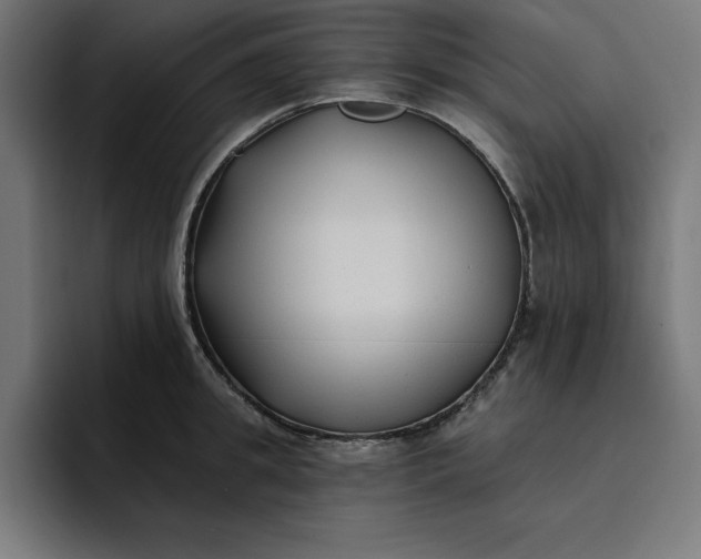 X0000096710949200802191505