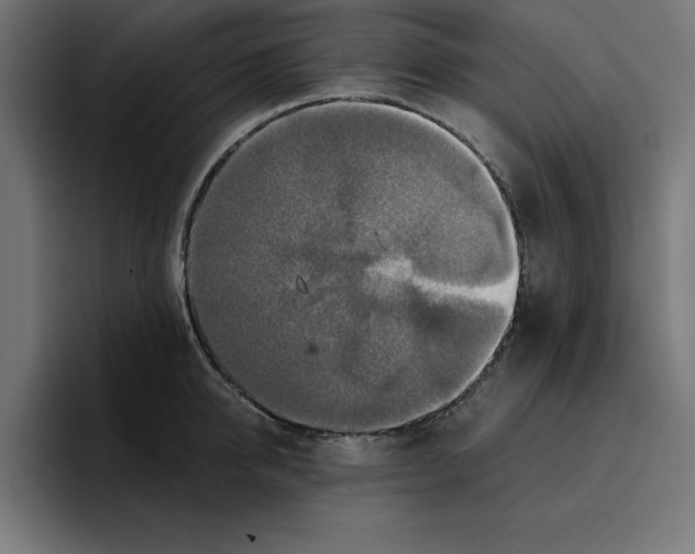 X0000096710950200802191505