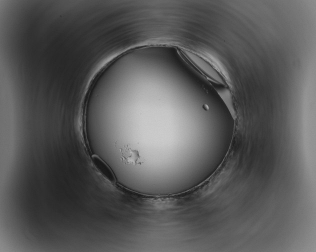 X0000096710952200802191505