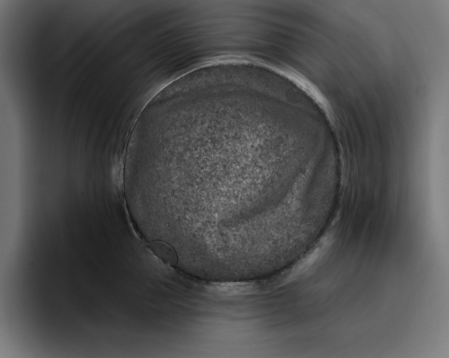 X0000096710953200802191505