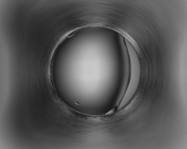 X0000096710956200802191506