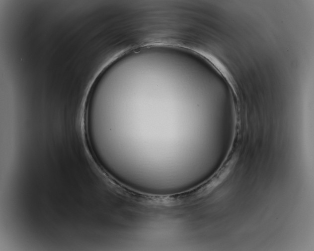 X0000096710957200802191506