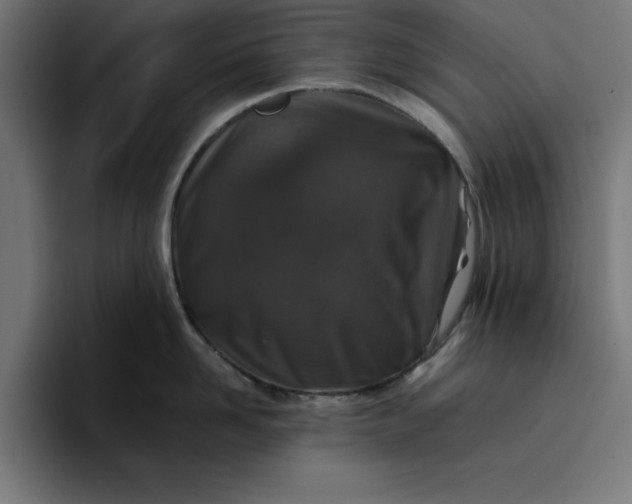 X0000096710958200802191506