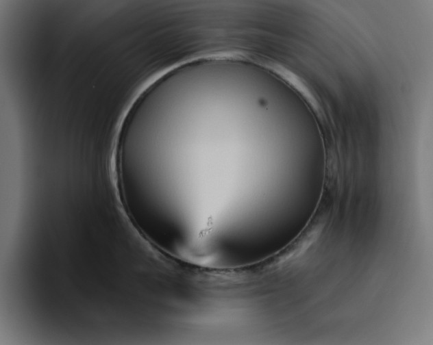 X0000096710959200802191506