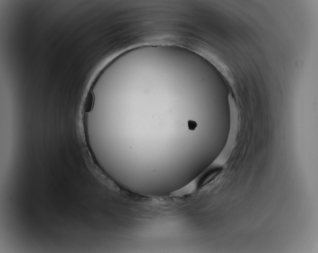 X0000096710960200802191506