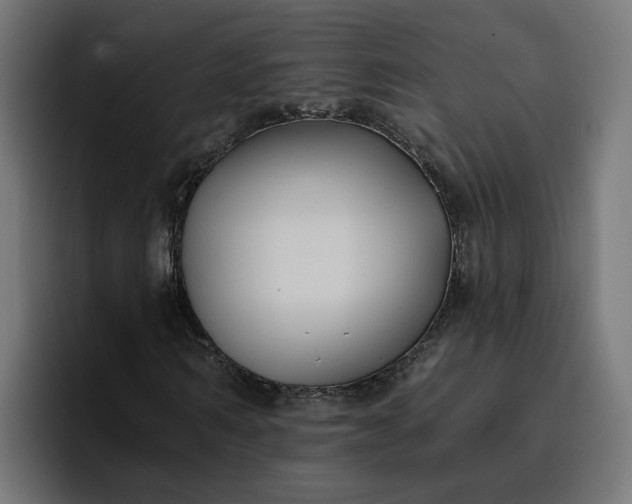 X0000096710962200802191505