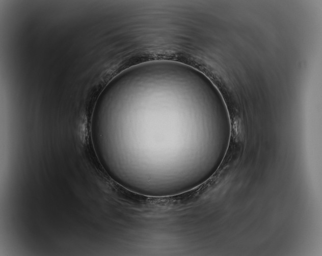 X0000096710963200802191505