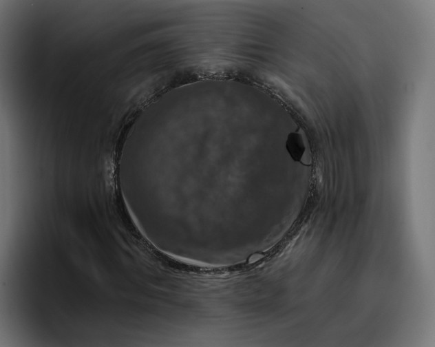 X0000096710964200802191505