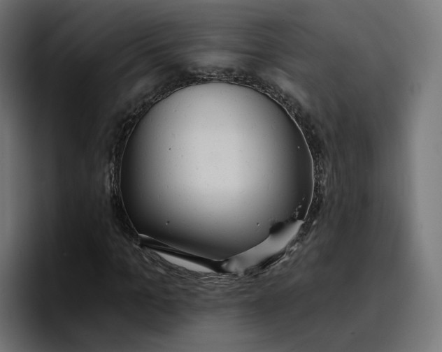 X0000096710965200802191505