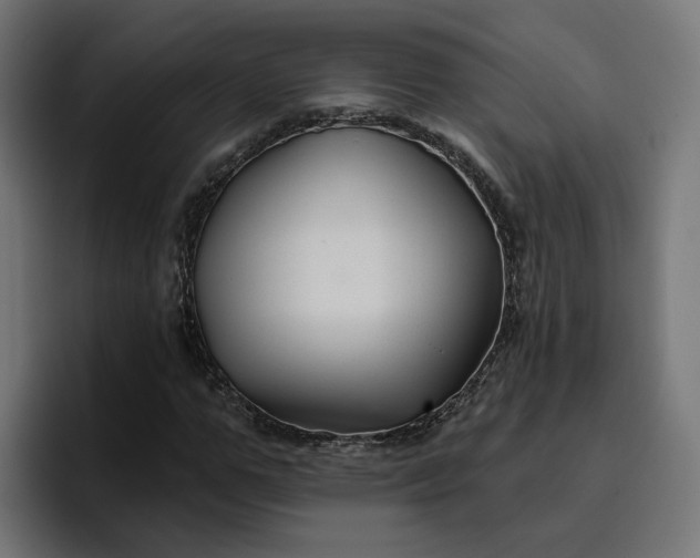 X0000096710967200802191505