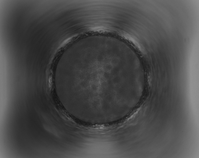 X0000096710968200802191505