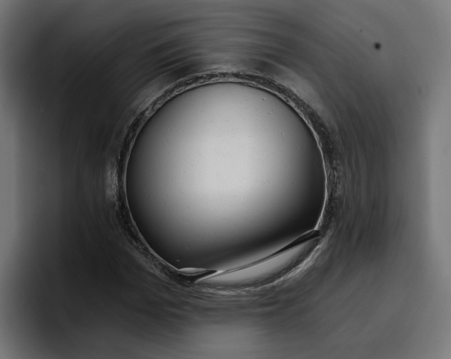 X0000096710969200802191505