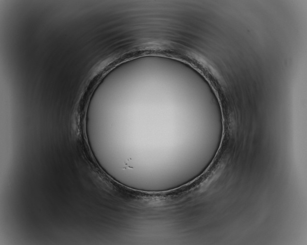 X0000096710970200802191505