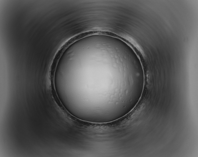 X0000096710972200802191505