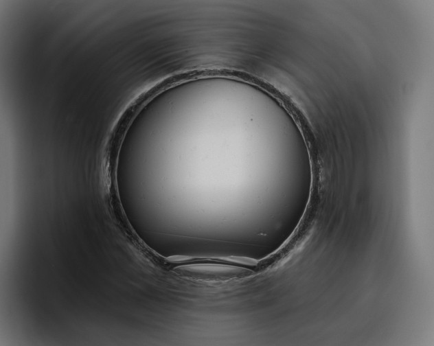 X0000096710973200802191505