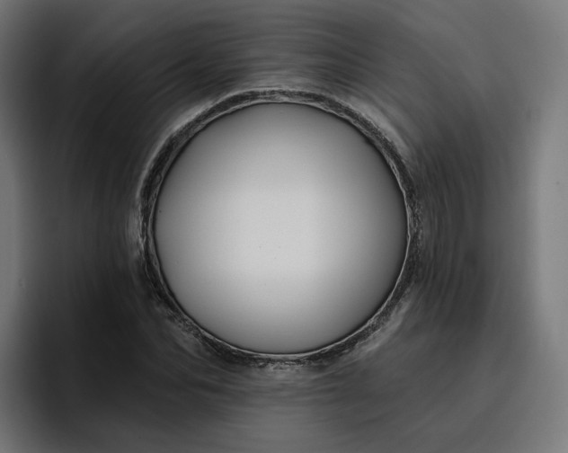 X0000096710974200802191505