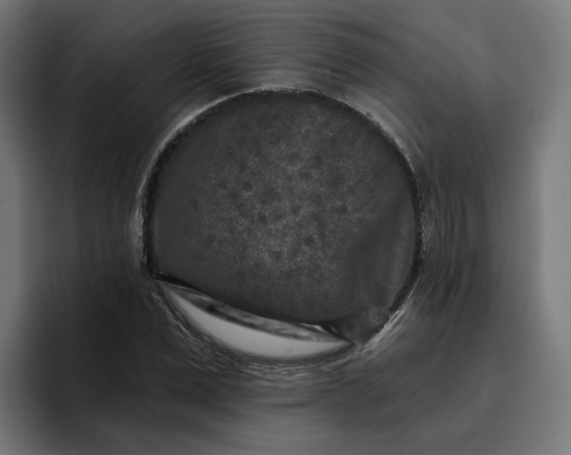 X0000096710975200802191505