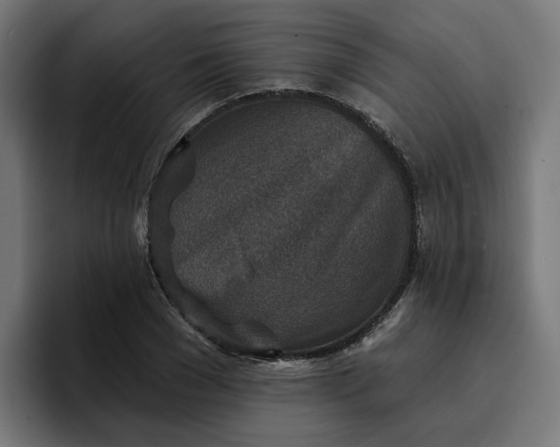 X0000096710977200802191505