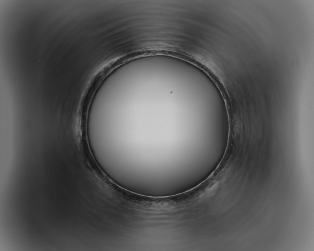 X0000096710979200802191505