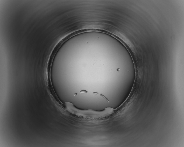 X0000096710980200802191505