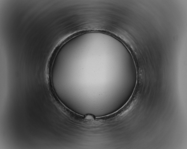 X0000096710981200802191505