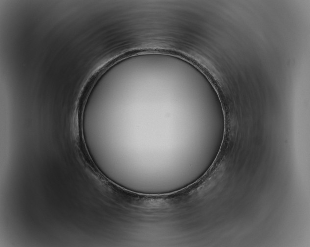 X0000096710982200802191505