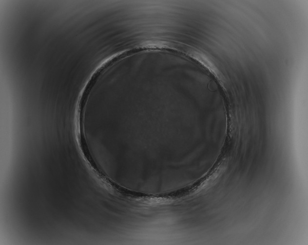 X0000096710984200802191505