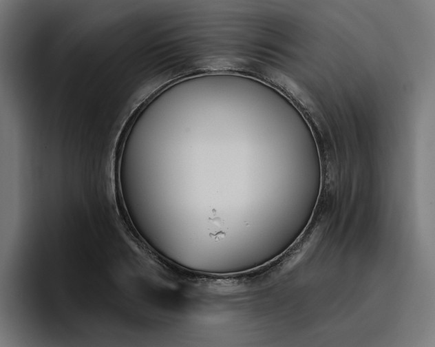 X0000096710986200802191505