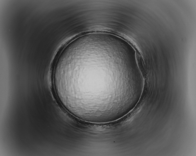 X0000096710987200802191505