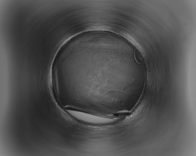 X0000096710988200802191505