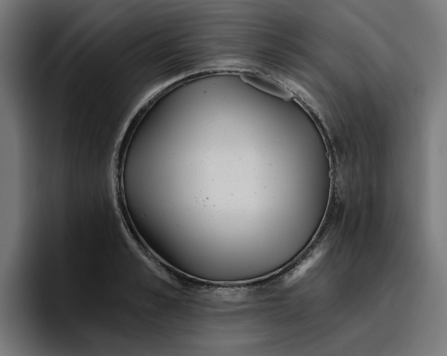 X0000096710989200802191505