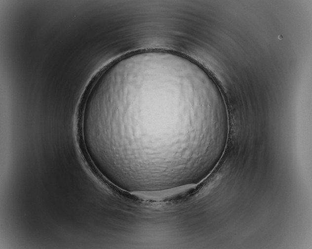 X0000096710991200802191505