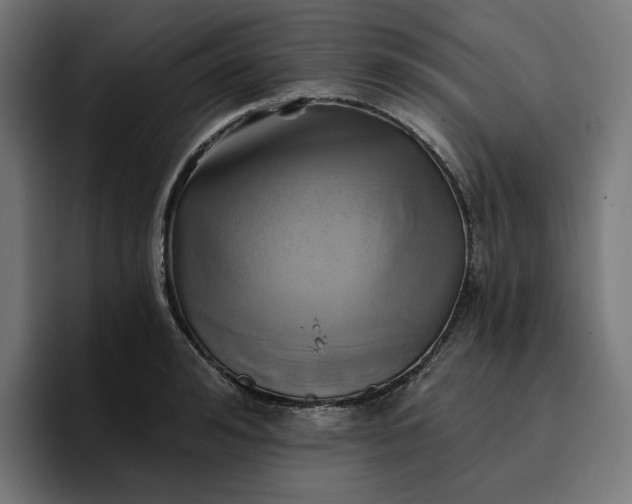 X0000096710992200802191505