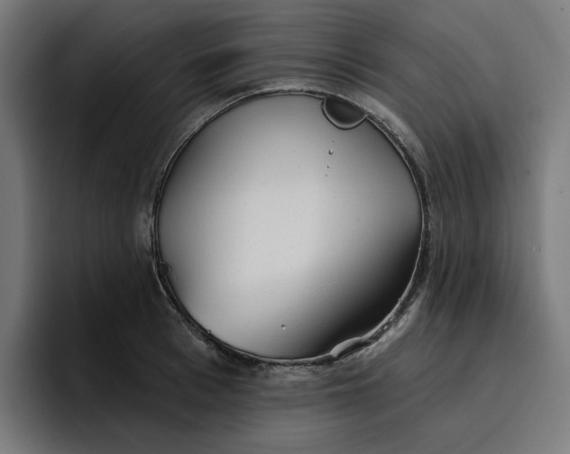 X0000096710993200802191505