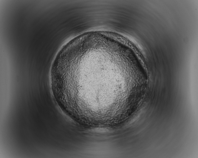 X0000096710998200802191504