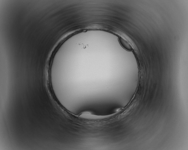 X0000096711000200802191504