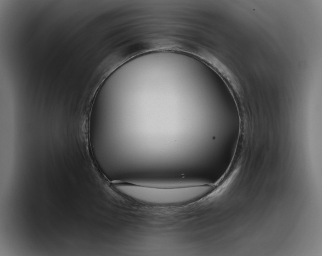 X0000096711001200802191504