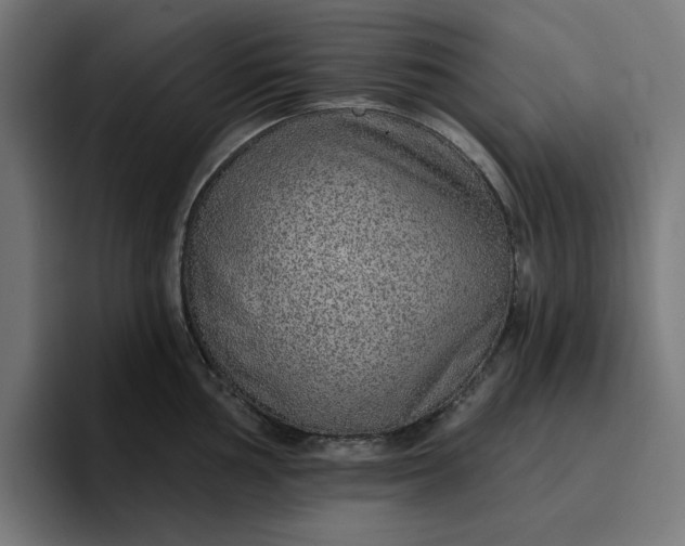 X0000096711002200802191504