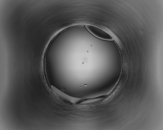 X0000096711004200802191504