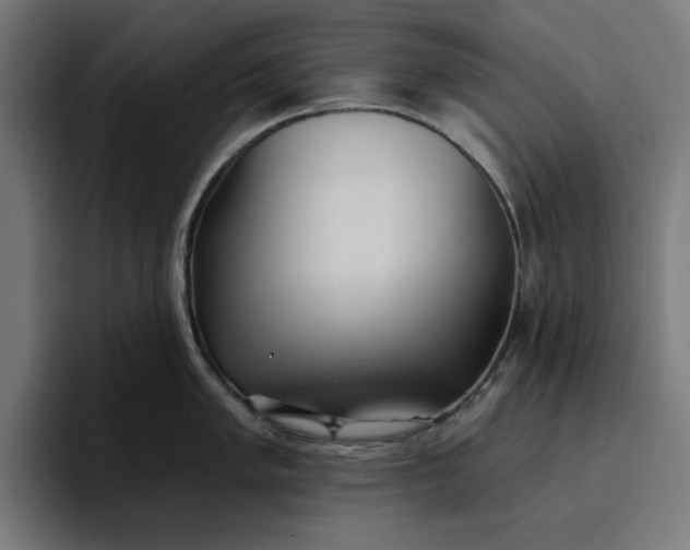 X0000096711005200802191504