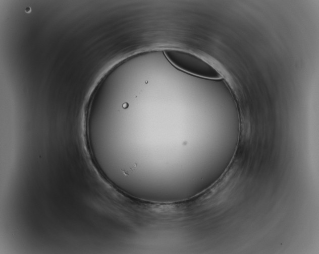 X0000096711006200802191504