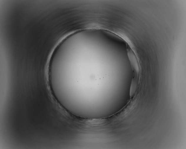 X0000096711008200802191504