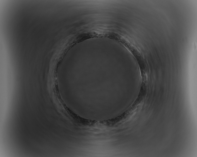 X0000096711009200802191504