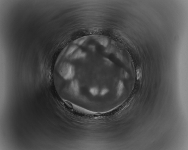 X0000096711011200802191504