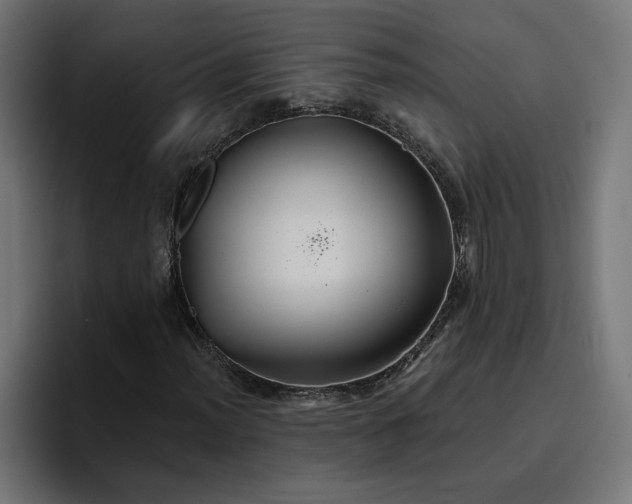 X0000096711012200802191504