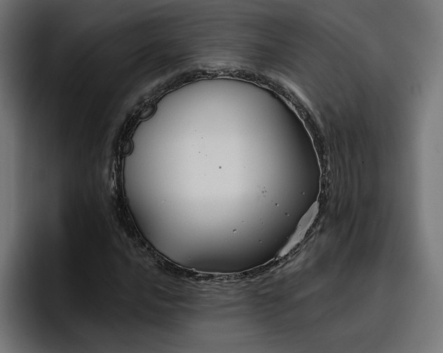 X0000096711016200802191504