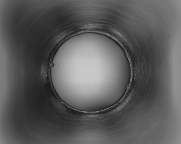 X0000096711017200802191504