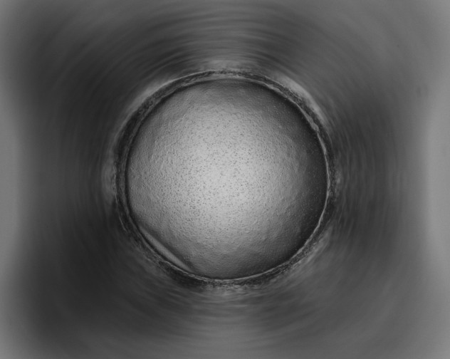 X0000096711019200802191504