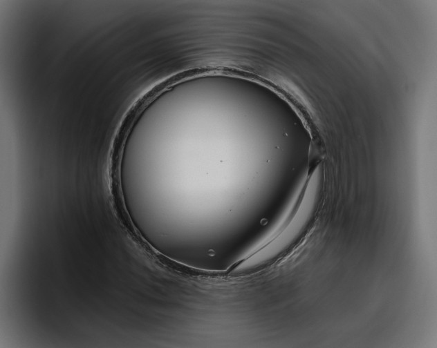 X0000096711020200802191504